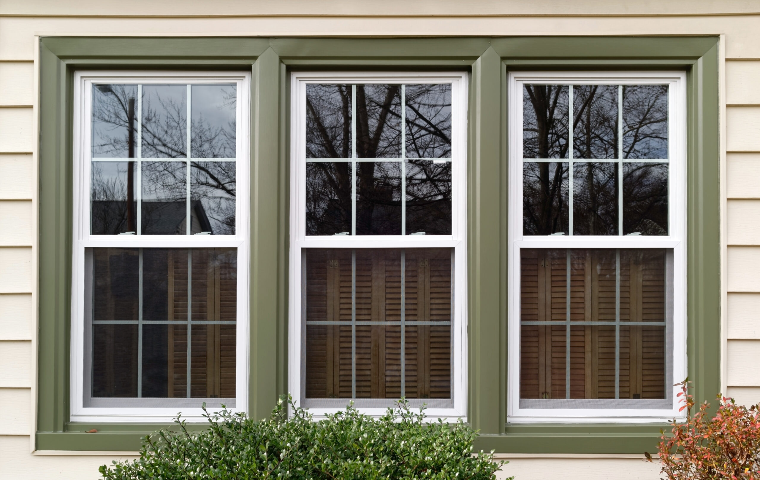 Three large, white-framed windows with green trim on a light-colored house. Trees and branches are reflected in the glass, and green shrubbery is visible below the windows.